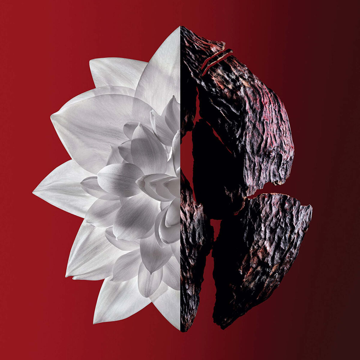 V6HFC5BB530DCFFEC225605BC1D62A14F7ER5306328P2