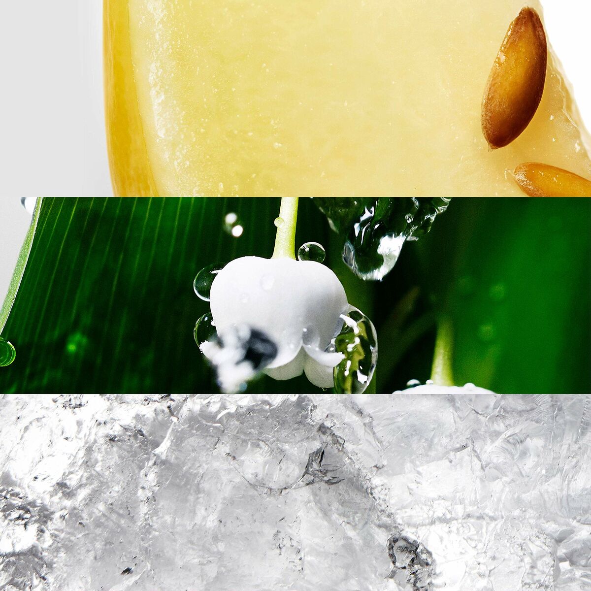 V4HBF6E94423FB02D6EAE2ADAFA1A343D1FR5992192P1