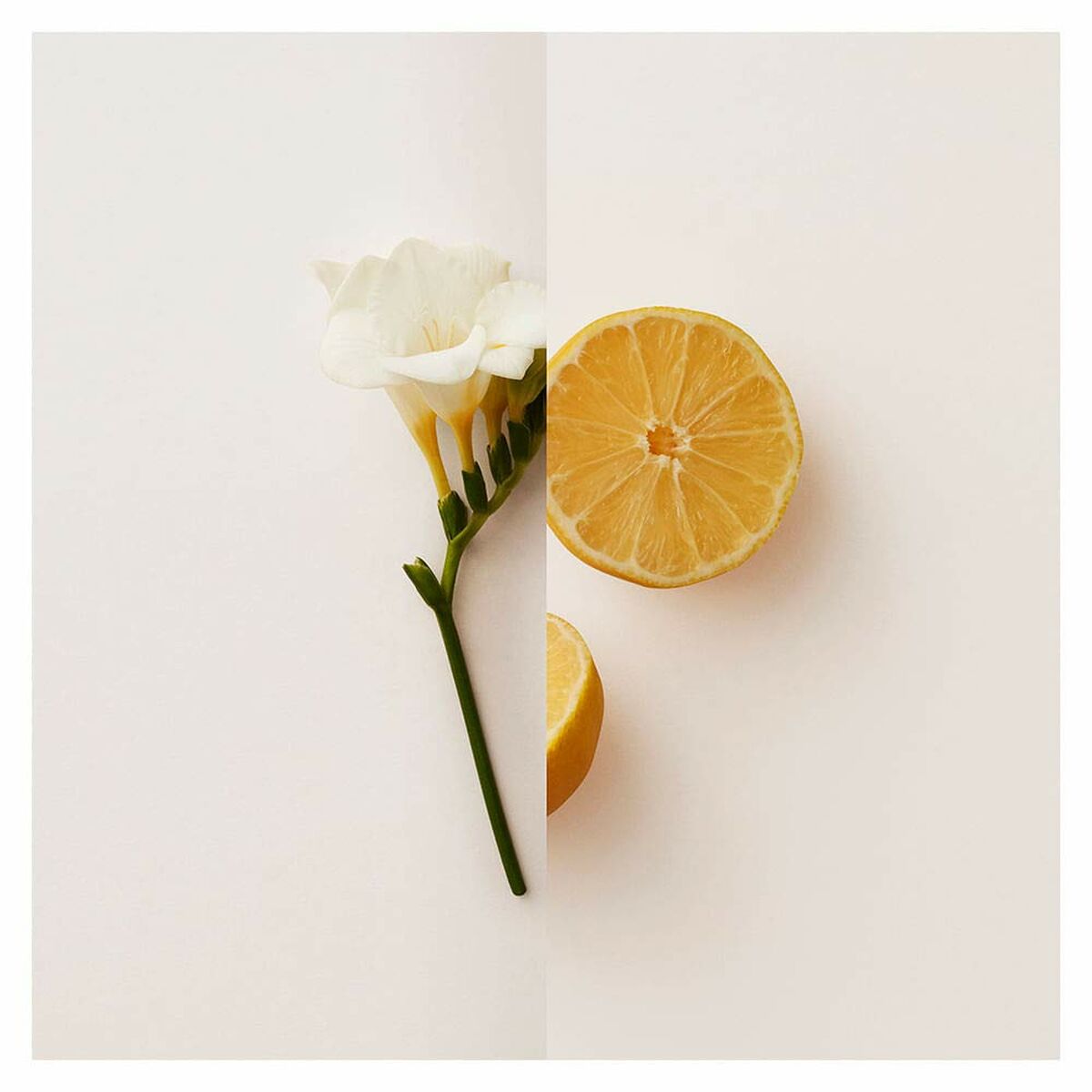 V6HFB7F9D22628766518E72E3488B06C0C8R4445251P1