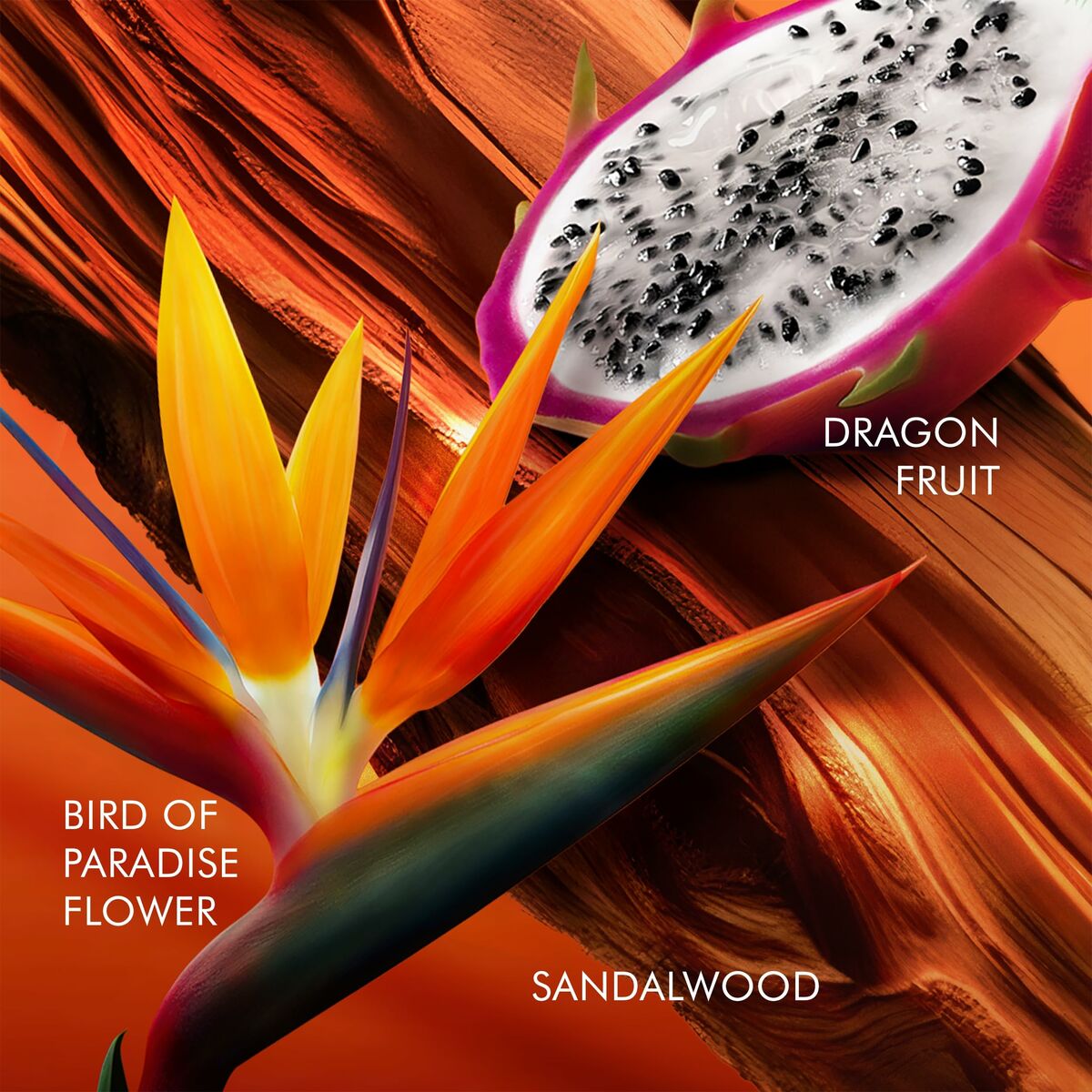 Damesparfum Escada BALI PARADISE 100 ml