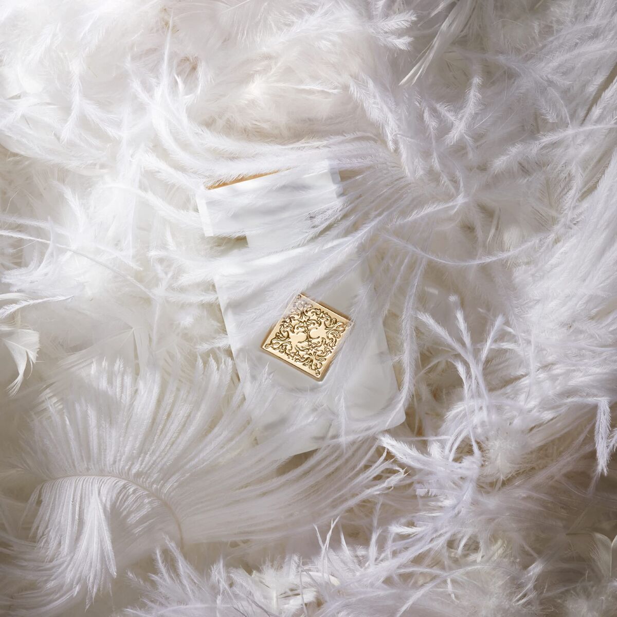 V2H9162D8AFB9F6EEC35AAF81917014FD5FR7577134P1