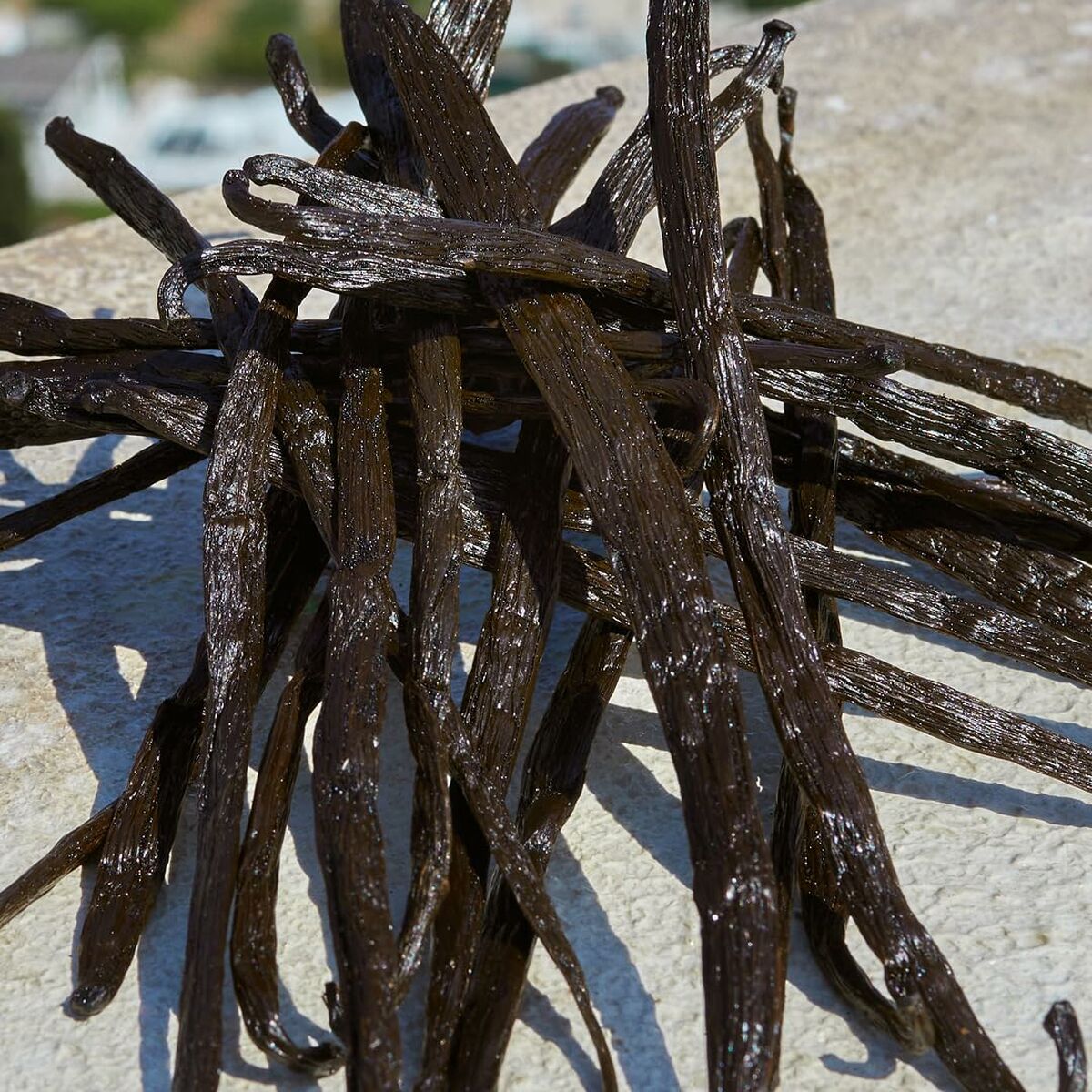 Damesparfum D&G Devotion EDP 50 ml