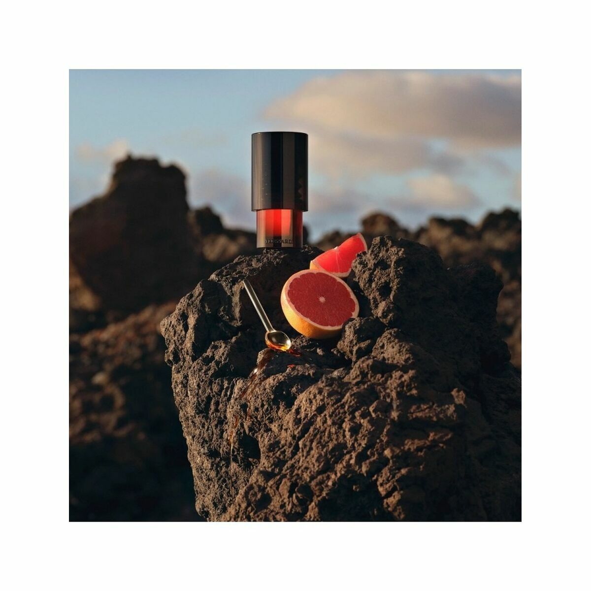 V6H09F12D1F442E0A3A92079DCB60AC5E55R5102214P1